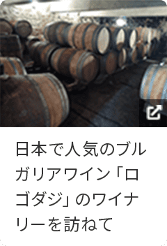 日本で人気のブルガリアワイン「ロゴダジ」のワイナリーを訪ねて