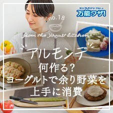 アルモンデ何作る？ヨーグルトで余り野菜を上手に消費