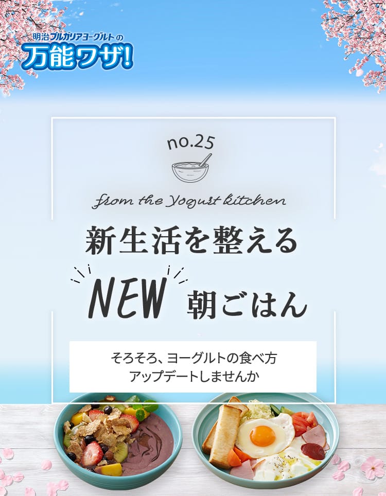カラダに必要な栄養素をバランスよく摂れる！ 『 朝食クッキーGOHAN 』10食セット        