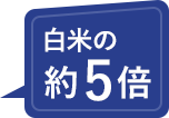 約5倍