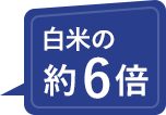 約6倍