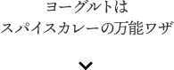 ヨーグルトは スパイスカレーの万能ワザ