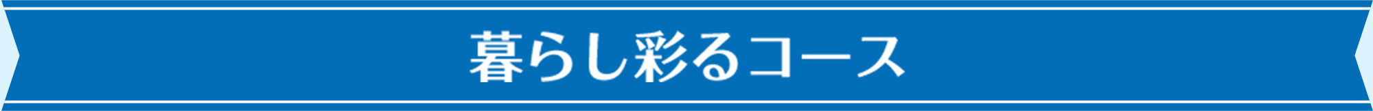 青と白の贈り物コース