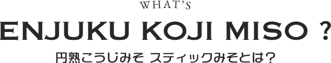 円熟こうじみそ スティックみそとは？