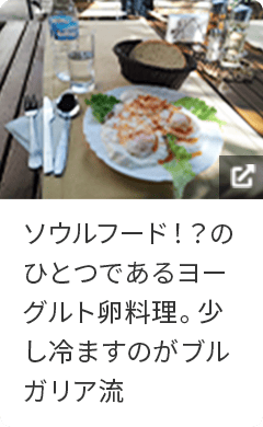 ソウルフード！？のひとつであるヨーグルト卵料理。少し冷ますのがブルガリア流