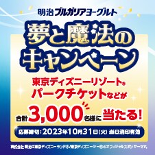 夢と魔法のキャンペーン