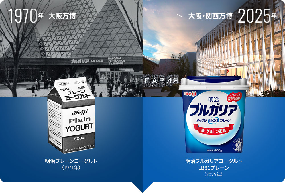 1970年大阪万博：明治プレーンヨーグルト（1971年）→2025年大阪・関西万博：明治ブルガリアヨーグルトLB81プレーン（2025年）