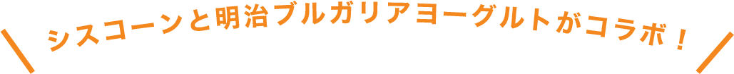 シスコーンと明治ブルガリアヨーグルトがコラボ！