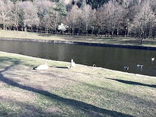 ブラゴエフグラッド市民が大好きなバチノヴォ公園