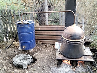 自家製ラキア作りを見学しました