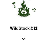 WildStockとは