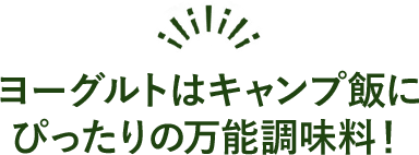 ヨーグルトはキャンプ飯にぴったりの万能調味料！