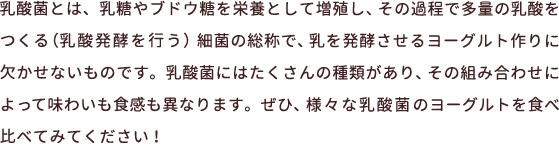 乳酸菌とは、乳糖やブドウ糖を栄養として増殖し、その過程で多量の乳酸をつくる（乳酸発酵を行う）細菌の総称で、乳を発酵させるヨーグルト作りに欠かせないものです。乳酸菌にはたくさんの種類があり、その組み合わせによって味わいも食感も異なります。ぜひ、様々な乳酸菌のヨーグルトを食べ比べてみてください！