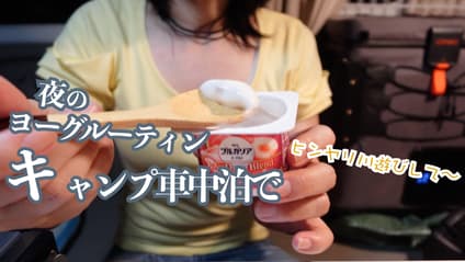 動画を再生