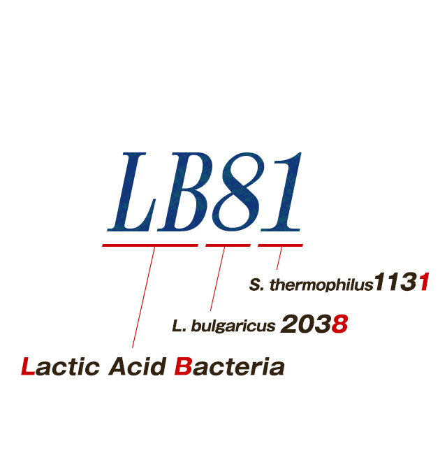 LB81