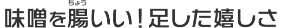 味噌を腸いい！足した嬉しさ”