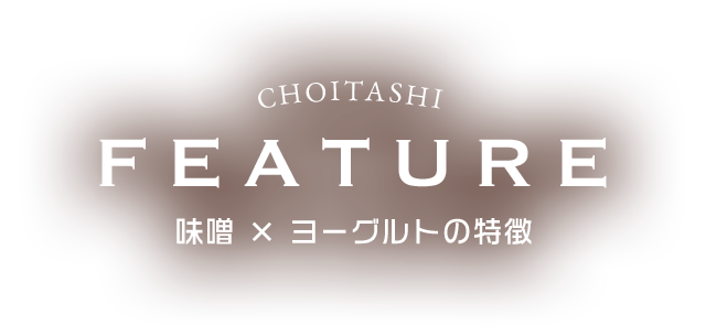 味噌 x ヨーグルトの特徴