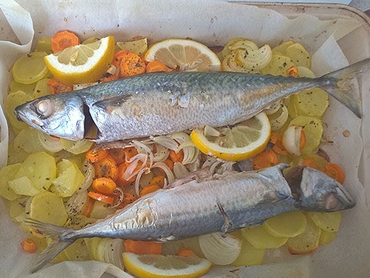 12月6日は ブルガリアで一番魚が食べられる日 ブルガリア通信 キャンペーン 特集 明治ブルガリアヨーグルト倶楽部 株式会社 明治 12月6日は ブルガリアで一番魚が食べられる日 ブルガリア通信 キャンペーン 特集 明治ブルガリアヨーグルト倶楽部 株式会社 明治